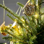 "Choinka pod Choinkę". Drzewko przekazane na aukcję przez Radio Kielce. / Marzena Mąkosa / Radio Kielce