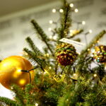 "Choinka pod Choinkę". Drzewko przekazane na aukcję przez Radio Kielce. / Marzena Mąkosa / Radio Kielce