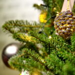 "Choinka pod Choinkę". Drzewko przekazane na aukcję przez Radio Kielce. / Marzena Mąkosa / Radio Kielce