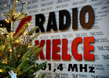 "Choinka pod Choinkę". Drzewko przekazane na aukcję przez Radio Kielce. / Marzena Mąkosa / Radio Kielce