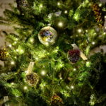 "Choinka pod Choinkę". Drzewko przekazane na aukcję przez Radio Kielce. / Marzena Mąkosa / Radio Kielce