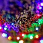 "Choinka pod Choinkę". Prezent dołączony do licytowanego drzewka. / Marzena Mąkosa / Radio Kielce