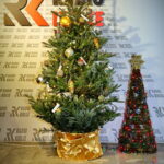 "Choinka pod Choinkę". Drzewko przekazane na aukcję przez Radio Kielce wraz z prezentem. / Marzena Mąkosa / Radio Kielce