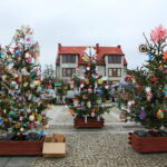 Konkurs "Najładniej udekorowana choinka" w ramach akcji: "Ożywiamy daleszycki rynek" / Marzena Mąkosa / Radio Kielce