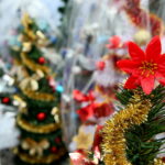 Choinki / Marzena Mąkosa / Radio Kielce