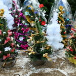 Choinki / Marzena Mąkosa / Radio Kielce