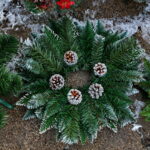 Stroiki / Marzena Mąkosa / Radio Kielce