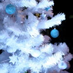 Witryny zaprojektowane i przygotowane przez zespół KCK. / Marzena Mąkosa / Radio Kielce