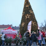 Akcja choinki dla słuchaczy na Rynku w Kielcach / Marzena Mąkosa / Radio Kielce