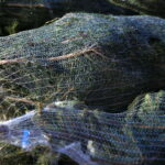 Akcja choinki dla słuchaczy na Rynku w Kielcach / Marzena Mąkosa / Radio Kielce