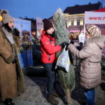 Akcja choinki dla słuchaczy na Rynku w Kielcach / Marzena Mąkosa / Radio Kielce