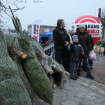 Choinki od Radia Kielce w Kazimierzy Wielkiej / Marzena Mąkosa / Radio Kielce