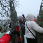 Choinki od Radia Kielce w Kazimierzy Wielkiej / Marzena Mąkosa / Radio Kielce