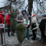 Choinki od Radia Kielce w Kazimierzy Wielkiej / Marzena Mąkosa / Radio Kielce