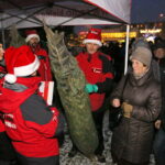 Radio Kielce rozdaje choinki na święta / Marzena Mąkosa / Radio Kielce