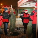 Radio Kielce rozdaje choinki na święta / Marzena Mąkosa / Radio Kielce