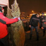 Radio Kielce rozdaje choinki na święta / Marzena Mąkosa / Radio Kielce