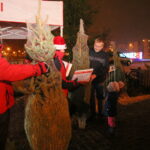 Radio Kielce rozdaje choinki na święta / Marzena Mąkosa / Radio Kielce