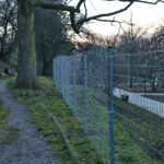 Siatka w Parku miejskim im. Stanisława Staszica / Marzena Mąkosa / Radio Kielce