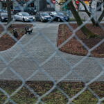 Siatka w Parku miejskim im. Stanisława Staszica / Marzena Mąkosa / Radio Kielce