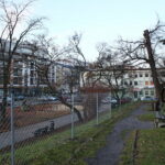 Siatka w Parku miejskim im. Stanisława Staszica / Marzena Mąkosa / Radio Kielce