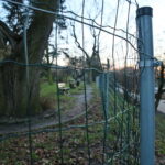 Siatka w Parku miejskim im. Stanisława Staszica / Marzena Mąkosa / Radio Kielce