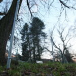 Siatka w Parku miejskim im. Stanisława Staszica / Marzena Mąkosa / Radio Kielce