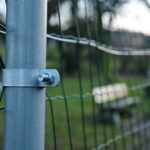 Siatka w Parku miejskim im. Stanisława Staszica / Marzena Mąkosa / Radio Kielce