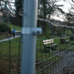 Siatka w Parku miejskim im. Stanisława Staszica / Marzena Mąkosa / Radio Kielce