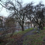 Siatka w Parku miejskim im. Stanisława Staszica / Marzena Mąkosa / Radio Kielce