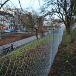 Siatka w Parku miejskim im. Stanisława Staszica / Marzena Mąkosa / Radio Kielce