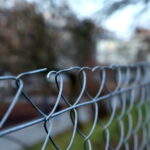 Siatka w Parku miejskim im. Stanisława Staszica / Marzena Mąkosa / Radio Kielce