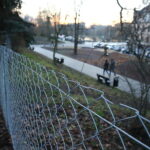 Siatka w Parku miejskim im. Stanisława Staszica / Marzena Mąkosa / Radio Kielce