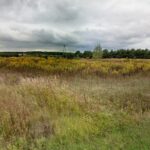 Tereny inwestycyjne w gminie Ożarów / Emilia Sitarska / Radio Kielce