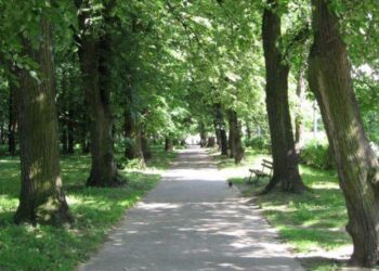 Sandomierz. Park Miejski / polskieszlaki.pl