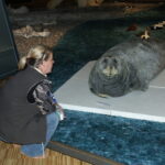 Spitsbergen / dr hab. Małgorzata Anna Jóźwiak i prof. dr hab. Marek Jóźwiak / Radio Kielce