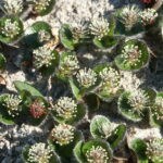 Spitsbergen / dr hab. Małgorzata Anna Jóźwiak i prof. dr hab. Marek Jóźwiak / Radio Kielce