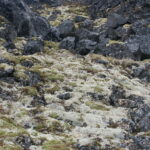 Spitsbergen / dr hab. Małgorzata Anna Jóźwiak i prof. dr hab. Marek Jóźwiak / Radio Kielce