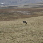 Spitsbergen / dr hab. Małgorzata Anna Jóźwiak i prof. dr hab. Marek Jóźwiak / Radio Kielce