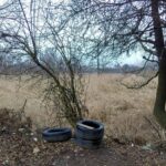 Końskie. Zalew na tzw. Starym Młynie / Marcin Różyc / Radio Kielce