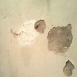 Kaplica Świętej Anny / Kamil Włosowicz / Radio Kielce