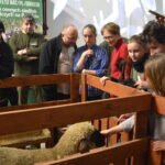 V edycja "Nocy Biologów" na Uniwersytecie Jana Kochanowskiego w Kielcach / Marzena Mąkosa / Radio Kielce