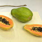 V edycja "Nocy Biologów" na Uniwersytecie Jana Kochanowskiego w Kielcach / Marzena Mąkosa / Radio Kielce