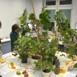 V edycja "Nocy Biologów" na Uniwersytecie Jana Kochanowskiego w Kielcach / Marzena Mąkosa / Radio Kielce