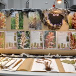 V edycja "Nocy Biologów" na Uniwersytecie Jana Kochanowskiego w Kielcach / Marzena Mąkosa / Radio Kielce