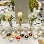 V edycja "Nocy Biologów" na Uniwersytecie Jana Kochanowskiego w Kielcach / Marzena Mąkosa / Radio Kielce