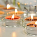 V edycja "Nocy Biologów" na Uniwersytecie Jana Kochanowskiego w Kielcach / Marzena Mąkosa / Radio Kielce