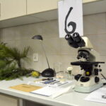 V edycja "Nocy Biologów" na Uniwersytecie Jana Kochanowskiego w Kielcach / Marzena Mąkosa / Radio Kielce