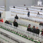 Wystawa Gołębi Rasowych w Targach Kielce / Marzena Mąkosa / Radio Kielce