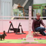 Króliki w Targach Kielce / Marzena Mąkosa / Radio Kielce